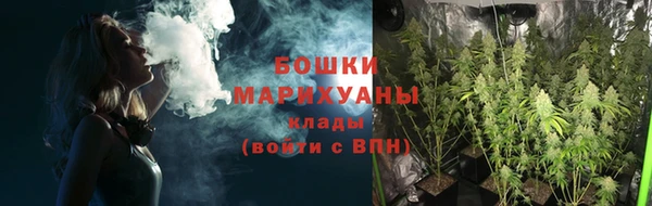 винт Бронницы