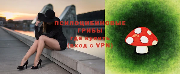 винт Бронницы