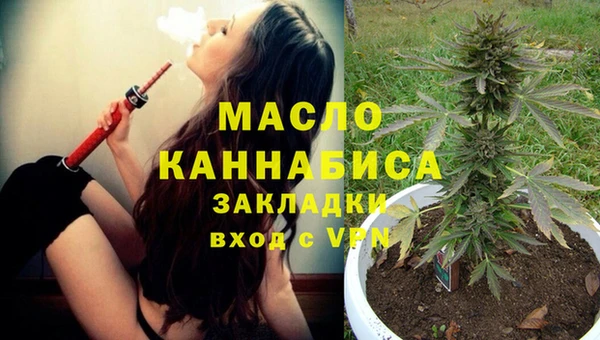 амф Бородино
