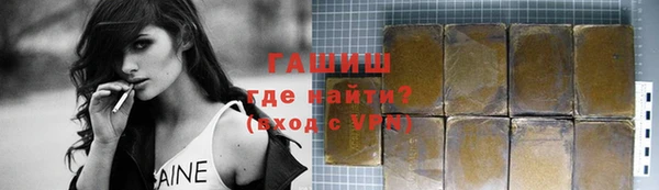амф Бородино