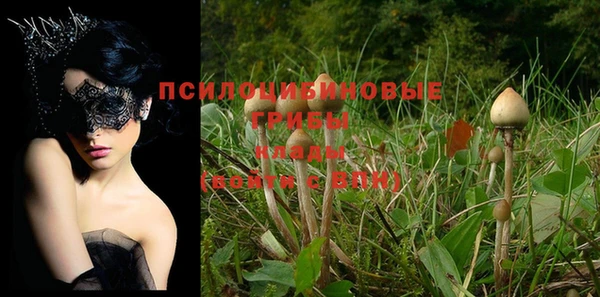 винт Бронницы