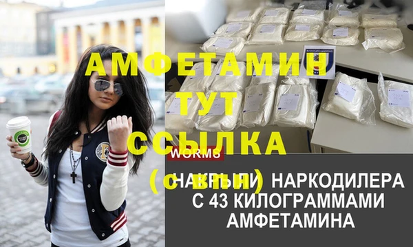 амф Бородино