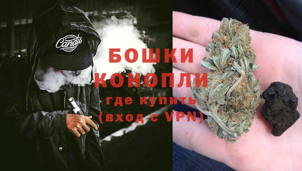 амф Бородино